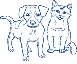 Veterinary practice illustration